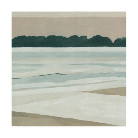 Trademark Fine Art Emma Scarvey 'Coastal Lines IV' Canvas Art, 35x35 WAG14384-C3535GG